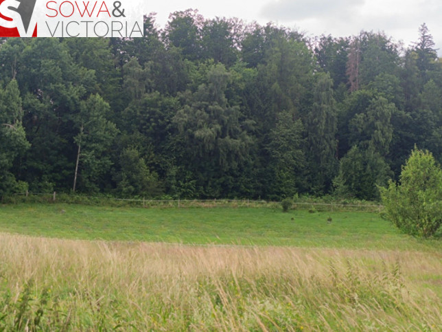Działka Sprzedaż Stare Bogaczowice 3