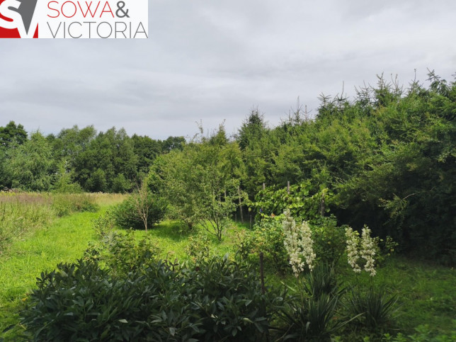 Działka Sprzedaż Dziećmorowice 1