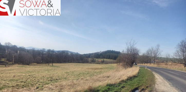 Działka Sprzedaż Jabłów 1