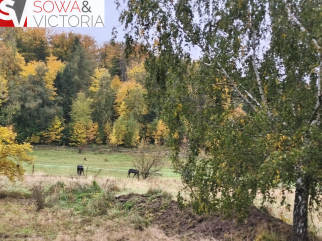 Działka Sprzedaż Stare Bogaczowice 6