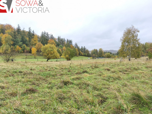Działka Sprzedaż Stare Bogaczowice 1