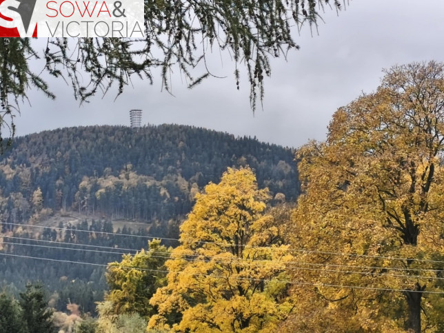 Działka Sprzedaż Boguszów-Gorce Kuźnice Świdnickie 4
