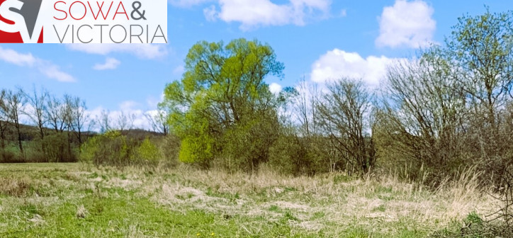 Działka Sprzedaż Czarny Bór 3