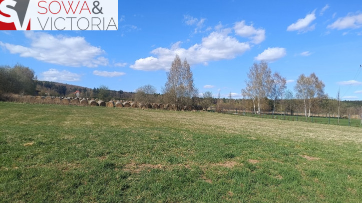Działka Sprzedaż Czadrów 4