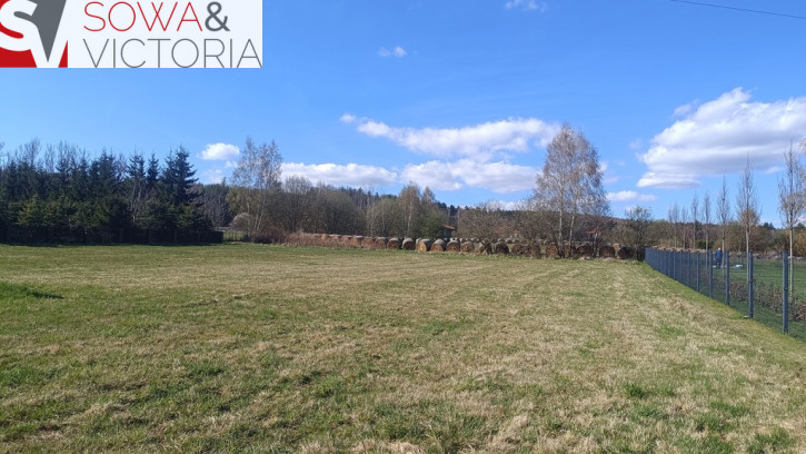 Działka Sprzedaż Czadrów 6