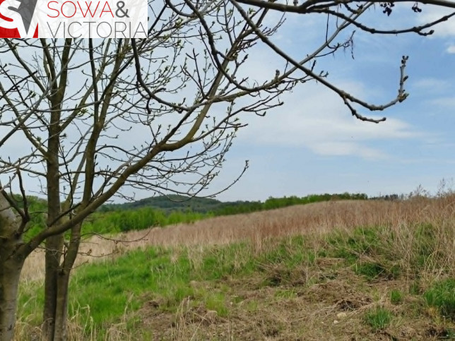 Działka Sprzedaż Wałbrzych Lubiechów 4
