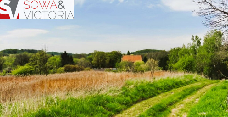 Działka Sprzedaż Wałbrzych Lubiechów 6