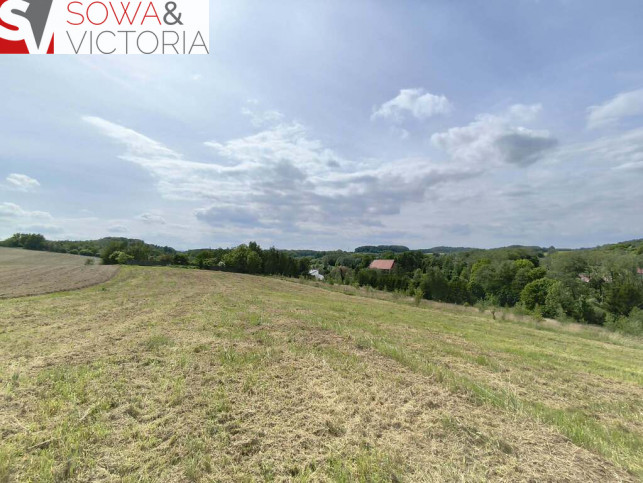 Działka Sprzedaż Wałbrzych Lubiechów 3