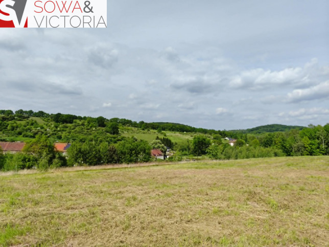 Działka Sprzedaż Wałbrzych Lubiechów 2