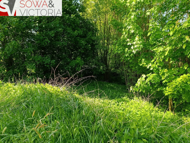 Działka Sprzedaż Nowe Siodło 7