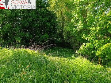 Działka Sprzedaż Nowe Siodło