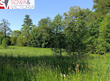 Działka Sprzedaż Nowe Siodło