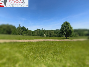 Działka Sprzedaż Walim