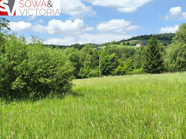 Działka Sprzedaż Sierpnica 9