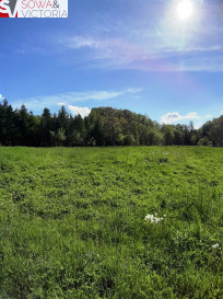 Działka Sprzedaż Cieszów