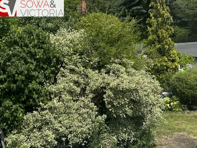 Mieszkanie Sprzedaż Wałbrzych Szczawienko 14
