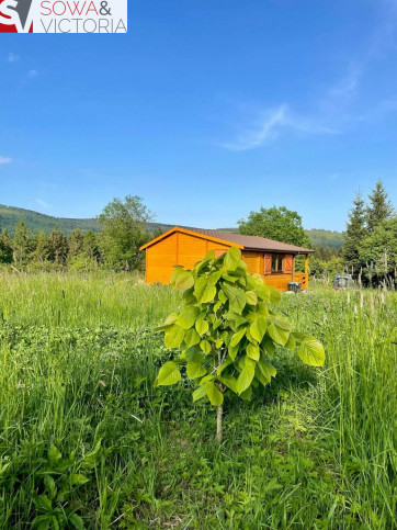 Działka Sprzedaż Sierpnica 1