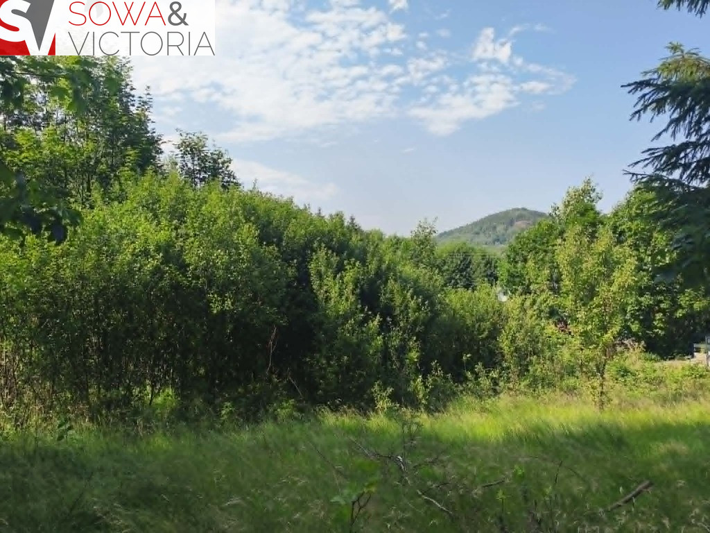 Działka Sprzedaż Jedlina-Zdrój Glinica