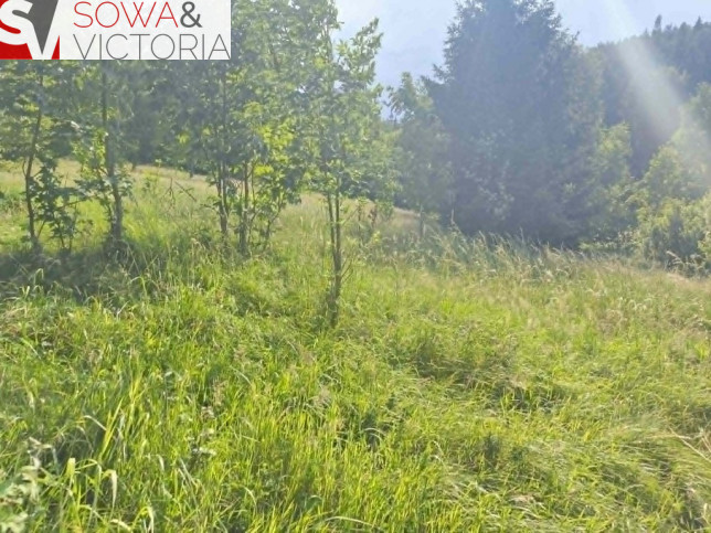 Działka Sprzedaż Jedlina-Zdrój Glinica 5