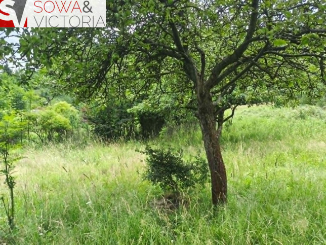 Działka Sprzedaż Jedlina-Zdrój Glinica 8
