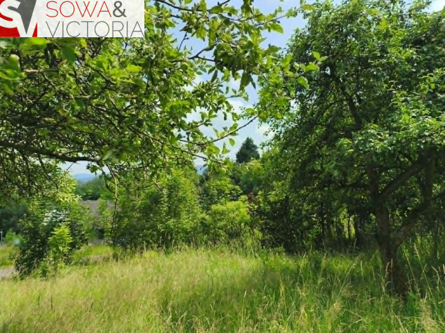 Działka Sprzedaż Jedlina-Zdrój Glinica 3