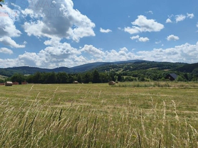 Działka Sprzedaż Michałkowa 14