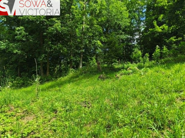 Działka Sprzedaż Stare Bogaczowice 2