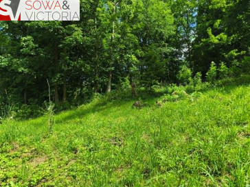 Działka Sprzedaż Stare Bogaczowice