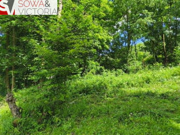Działka Sprzedaż Stare Bogaczowice