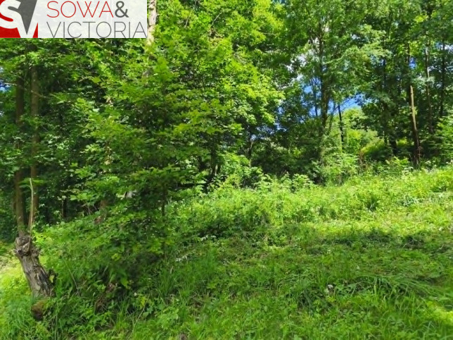 Działka Sprzedaż Stare Bogaczowice 3