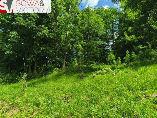 Działka Sprzedaż Stare Bogaczowice 4