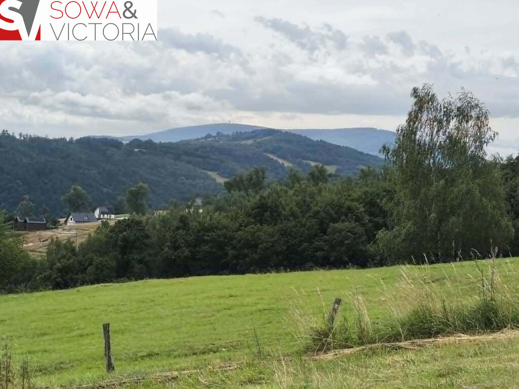 Działka Sprzedaż Zagórze Śląskie