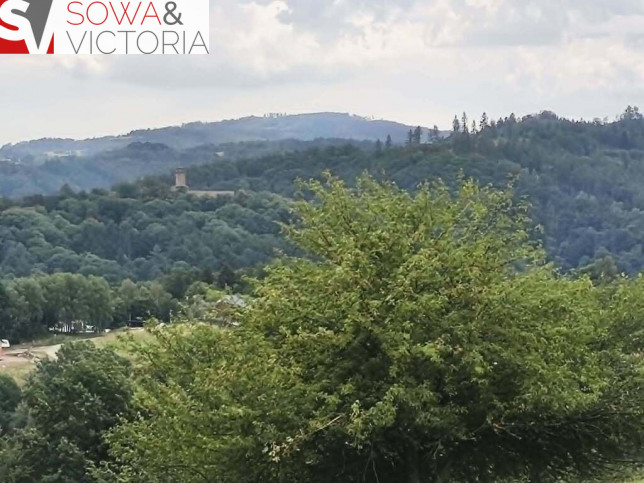 Działka Sprzedaż Zagórze Śląskie 8