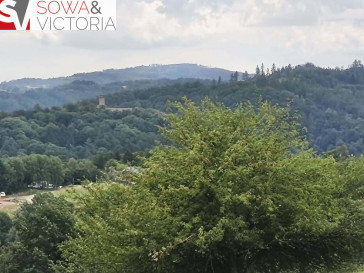 Działka Sprzedaż Zagórze Śląskie
