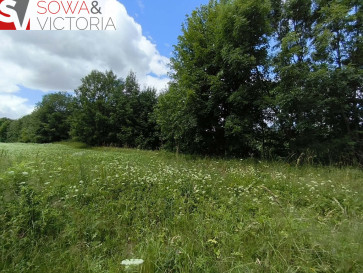 Działka Sprzedaż Stare Bogaczowice