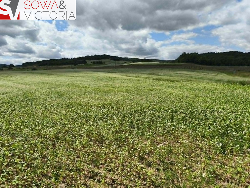 Działka Sprzedaż Stare Bogaczowice