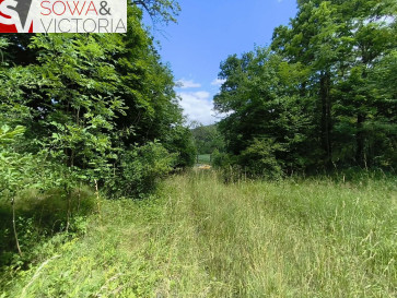 Działka Sprzedaż Stare Bogaczowice