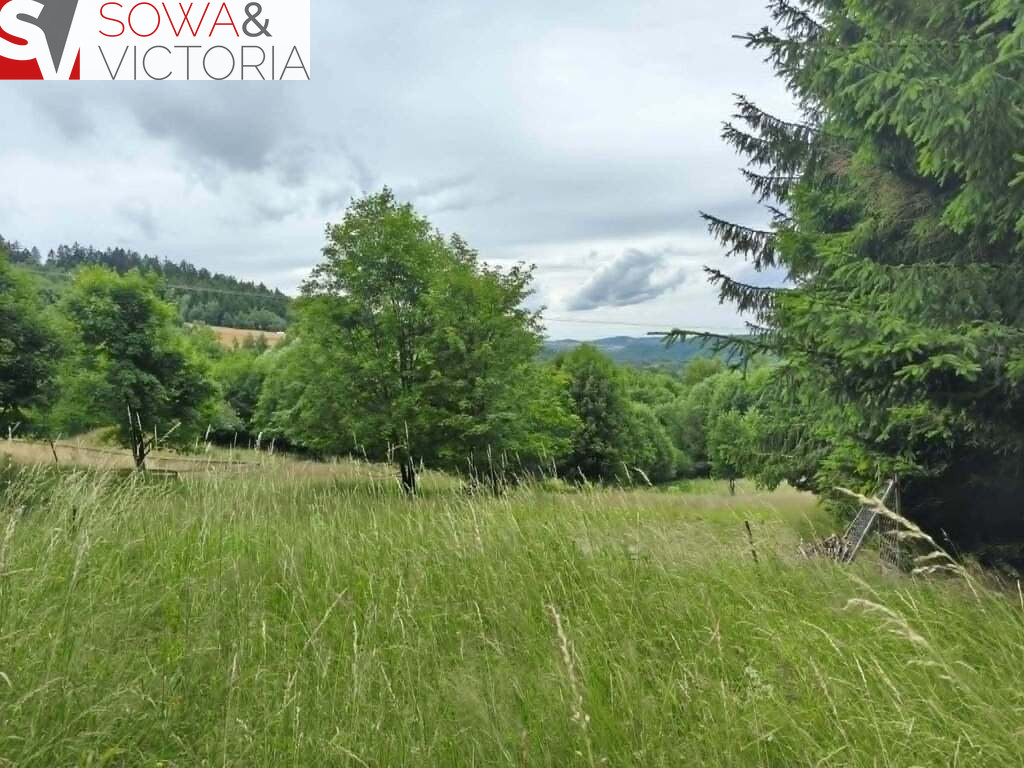 Działka Sprzedaż Walim