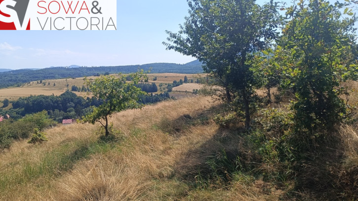 Działka Sprzedaż Struga 10