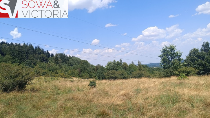 Działka Sprzedaż Struga 11