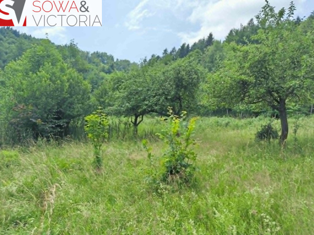 Działka Sprzedaż Jedlina-Zdrój Glinica 2