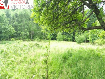 Działka Sprzedaż Jedlina-Zdrój Glinica