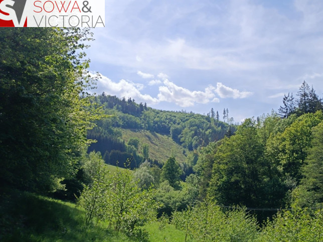 Działka Sprzedaż Michałkowa 5