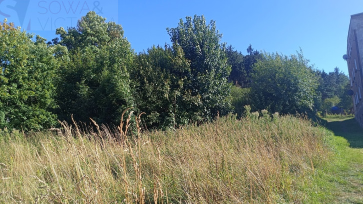 Działka Sprzedaż Boguszów-Gorce 4
