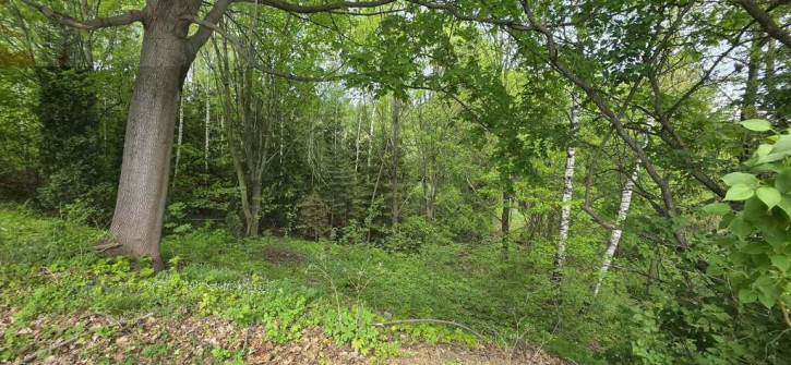Działka Sprzedaż Jaskulin 9