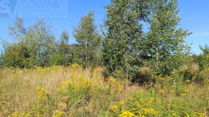 Działka Sprzedaż Olszyniec 4