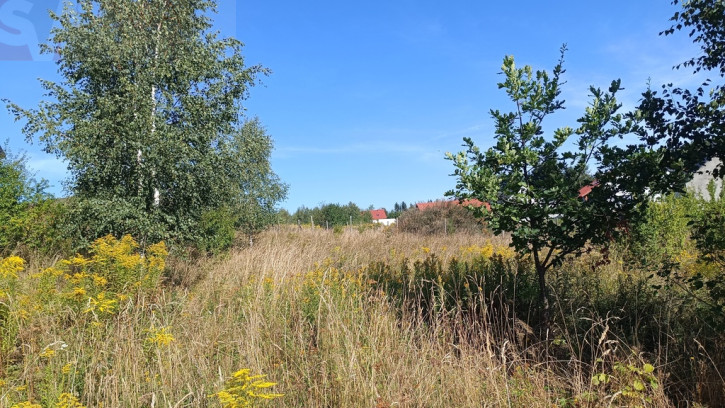 Działka Sprzedaż Olszyniec 5