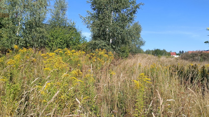 Działka Sprzedaż Olszyniec 7
