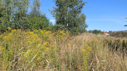 Działka Sprzedaż Olszyniec