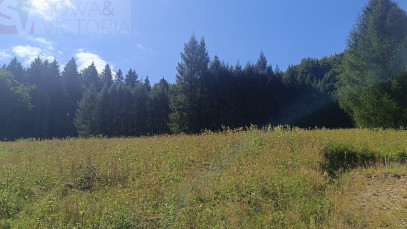 Działka Sprzedaż Michałkowa